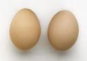 2-eggs.jpg