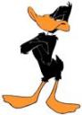 daffy-duck.jpg